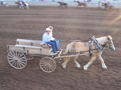Horse-drawn wagon in rodeo arena